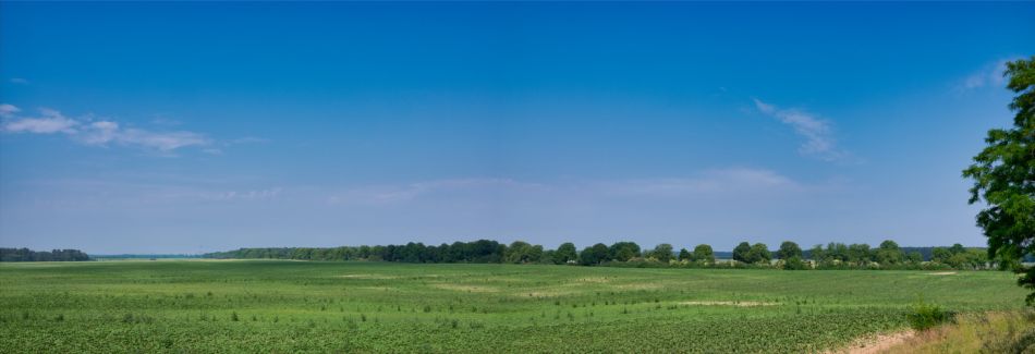 Windkraftraeder Gruental