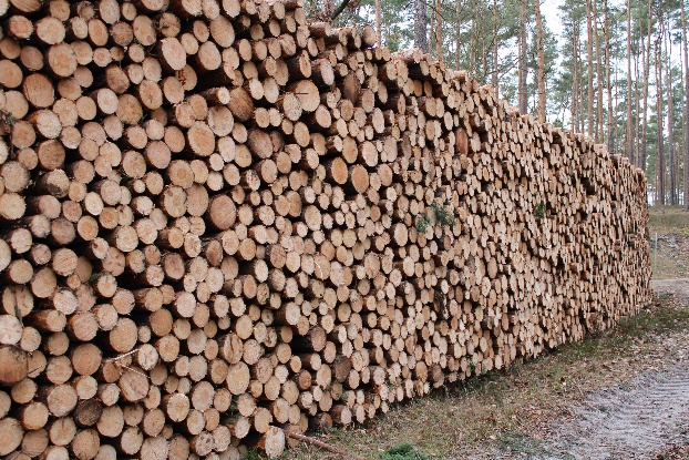 gestapeltes Holz